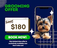 a dog with a grooming offer on a phone